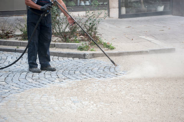 Best Animal Enclosure Cleaning  in , GA